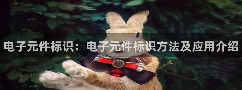 pg电子游戏官网平台：电子元件标识：电子元件标识方法及应用介绍