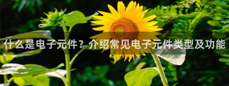 pg电子模拟器手机版下载：什么是电子元件？介绍常见电子元件类型及功能