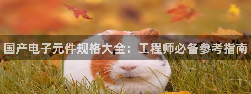 pg电子平台有哪些：国产电子元件规格大全：工程师必备参考指南