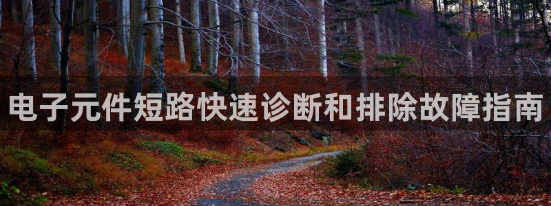 pg电子哪里可以试玩的