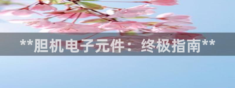 pg电子模拟器可以提现微信吗