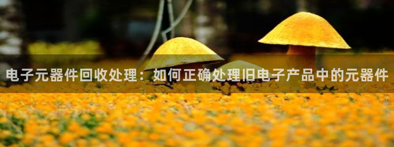 pg电子棋牌有哪些平台可以用微信：电子元器件回收处理：如何正确处理旧电子产品中的