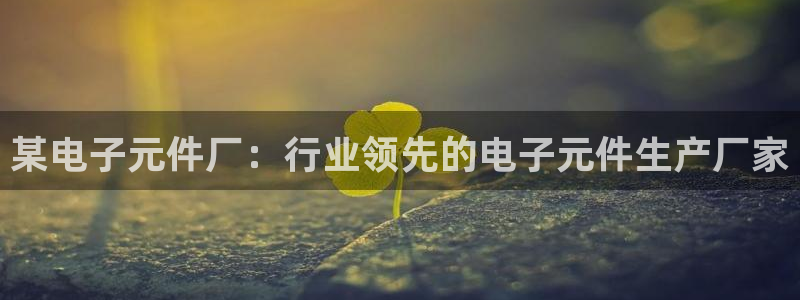 pg电子游戏体验版官网：某电子元件厂：行业领先的电子元件生产厂家
