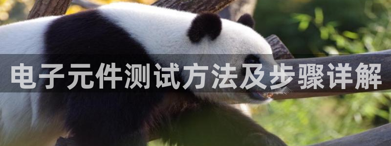 pg电子麻将胡了模拟器在线网页：电子元件测试方法及步骤详解