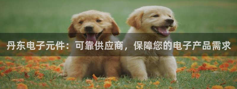 pg麻将胡了2公司：丹东电子元件：可靠供应商，保障您的电子产品需求