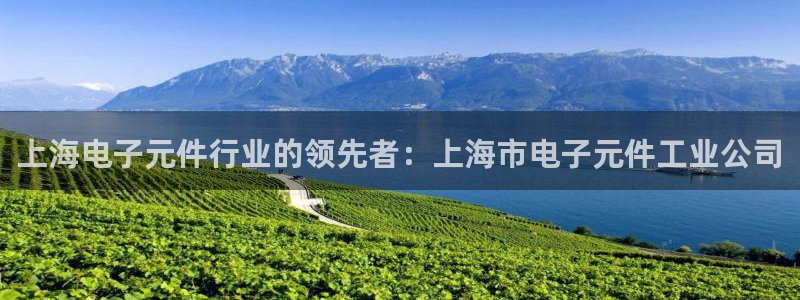 pg电子官方直营是正品吗：上海电子元件行业的领先者：上海市电子元件工业公司