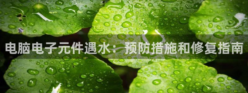 电子模拟器pg：电脑电子元件遇水：预防措施和修复指南