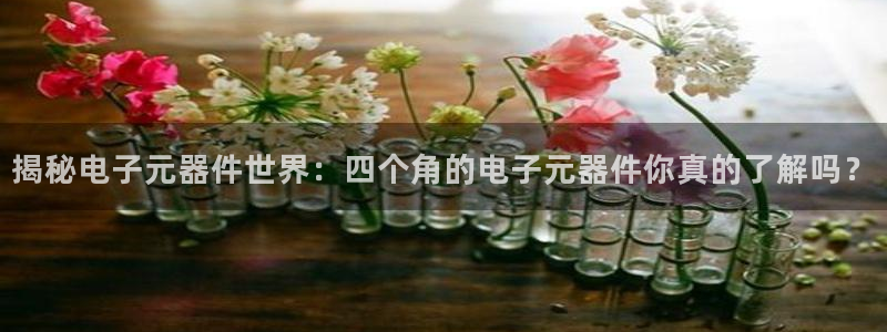 pg电子模拟器官网：揭秘电子元器件世界：四个角的电子元器件你真的了解吗？
