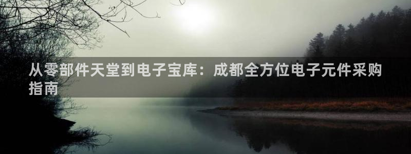 Pg电子游戏：从零部件天堂到电子宝库：成都全方位电子元件采购
指南