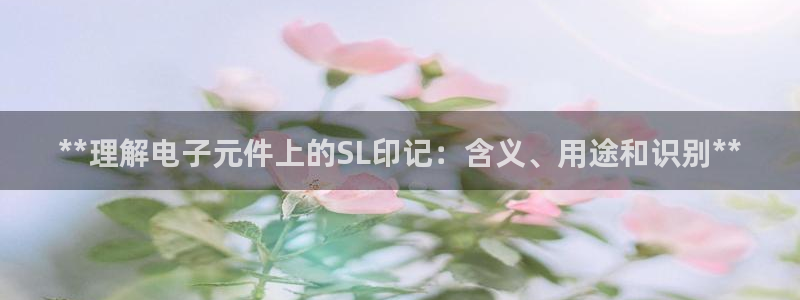 电子游戏pg平台有哪些软件：**理解电子元件上的SL印记：含义、用途和识别**