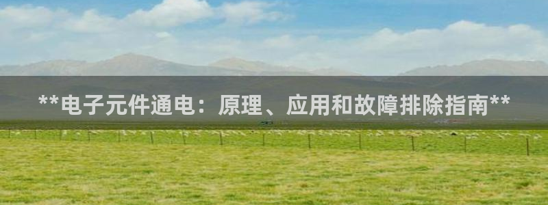 pg电子游戏在线进入：**电子元件通电：原理、应用和故障排除指南**