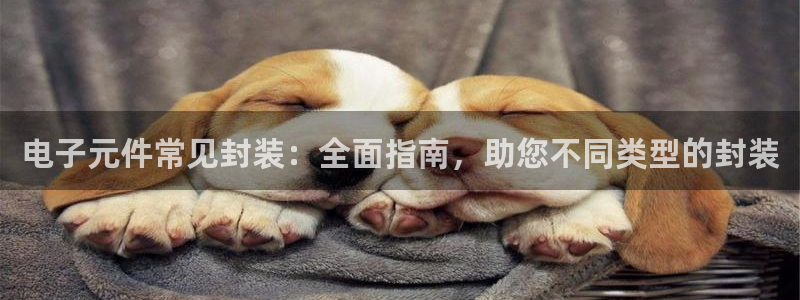 pg电子游戏api：电子元件常见封装：全面指南，助您不同类型的封装