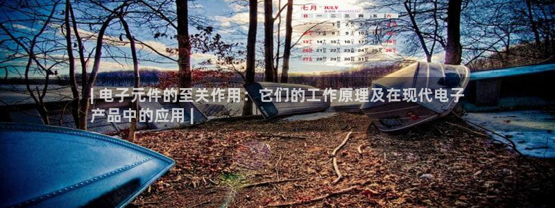PG麻将胡了2违法吗：| 电子元件的至关作用：它们的工作原理及在现代电子
产品中