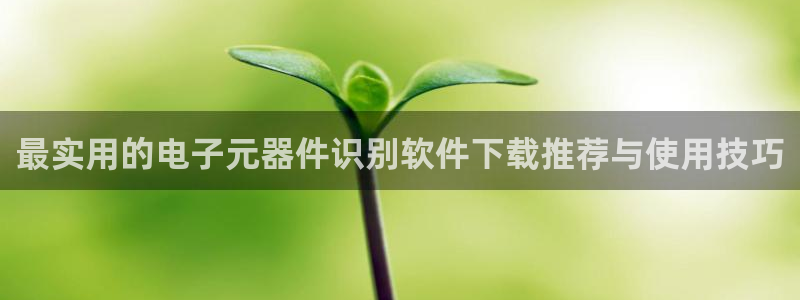 pg电子试玩平台网站下载