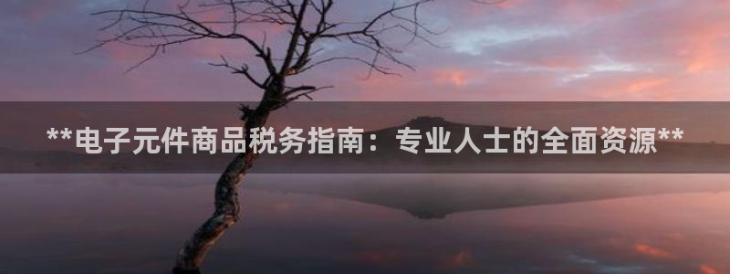 PG电子模拟器网站：**电子元件商品税务指南：专业人士的全面资源**