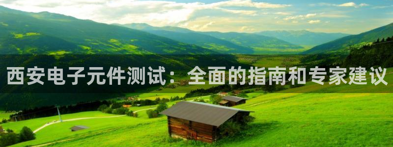 pg电子官方网站线路中心