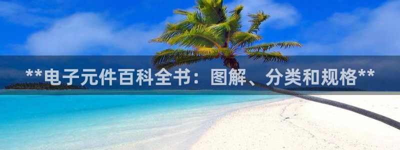 pg电子棋牌有哪些平台可以看