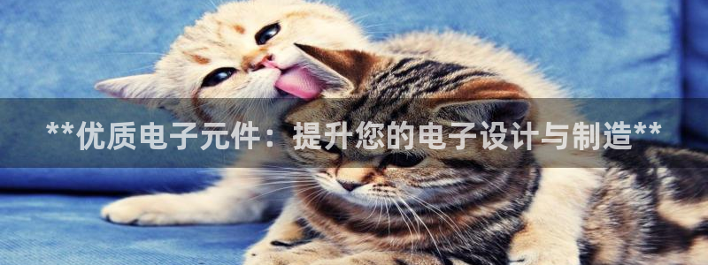pg电子游戏试玩平台网站：**优质电子元件：提升您的电子设计与制造**