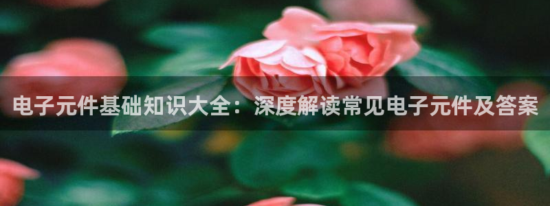 pg电子试玩模式是什么：电子元件基础知识大全：深度解读常见电子元件及答案