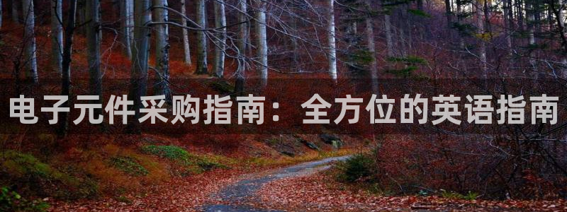 pg电子官方网站提现棋盘：电子元件采购指南：全方位的英语指南