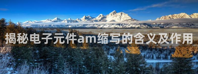 pg电子模拟器推荐下载吗：揭秘电子元件am缩写的含义及作用