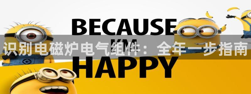 pg电子ly79点cn：识别电磁炉电气组件：全年一步指南