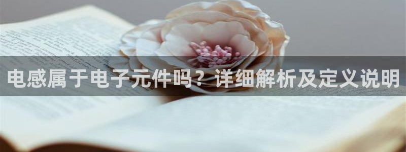 PG电子官方网：电感属于电子元件吗？详细解析及定义说明