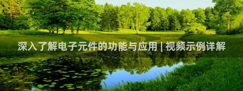 免费pg电子游戏：深入了解电子元件的功能与应用 | 视频示例详解