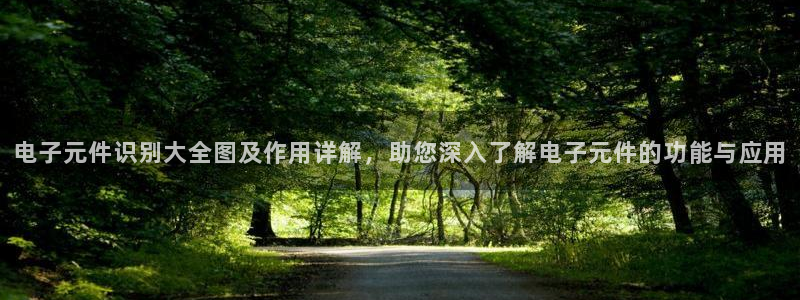 PG电子abb：电子元件识别大全图及作用详解，助您深入了解电子元件的功能与应用