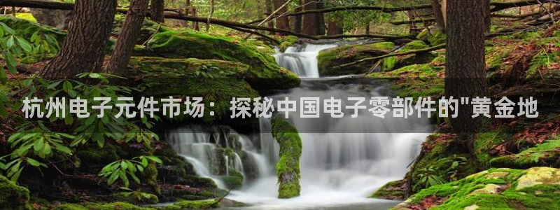 pg电子模拟器有声音怎么办：杭州电子元件市场：探秘中国电子零部件的\