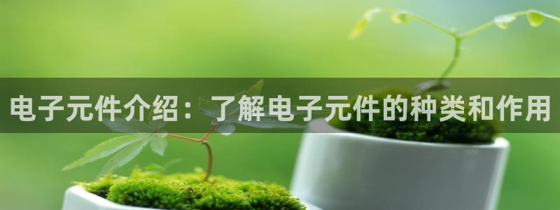 pg电子模拟器安卓版