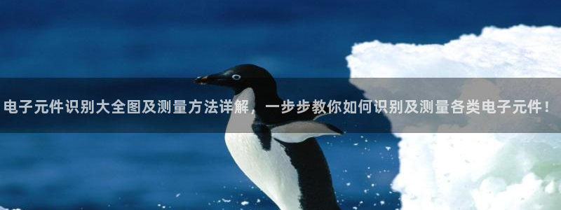 pg电子游戏官网官方网站放水