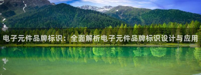 pg电子免费试玩：电子元件品牌标识：全面解析电子元件品牌标识设计与应用