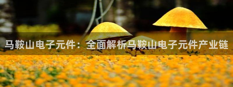 pg电子|平台：马鞍山电子元件：全面解析马鞍山电子元件产业链