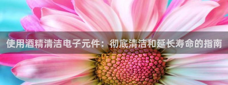 pg模拟器试玩入口：使用酒精清洁电子元件：彻底清洁和延长寿命的指南