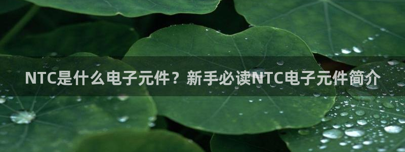 玩pg电子游戏哪个网站好用：NTC是什么电子元件？新手必读NTC电子元件简介