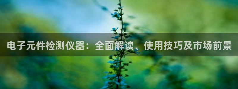 pg电子平台临时维护多久一次：电子元件检测仪器：全面解读、使用技巧及市场前景