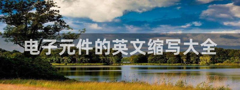 pg电子模拟器贴吧：电子元件的英文缩写大全