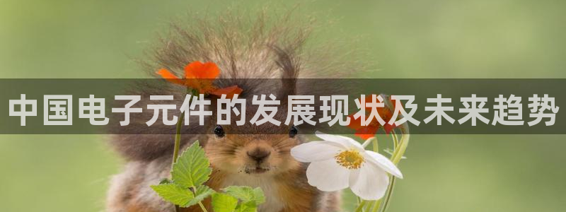 pg电子官方网站汇拓：中国电子元件的发展现状及未来趋势
