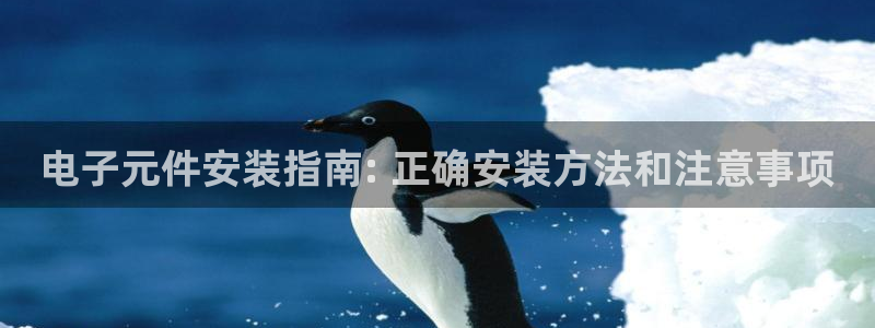 PG电子游戏ANUBIS：电子元件安装指南: 正确安装方法和注意事项