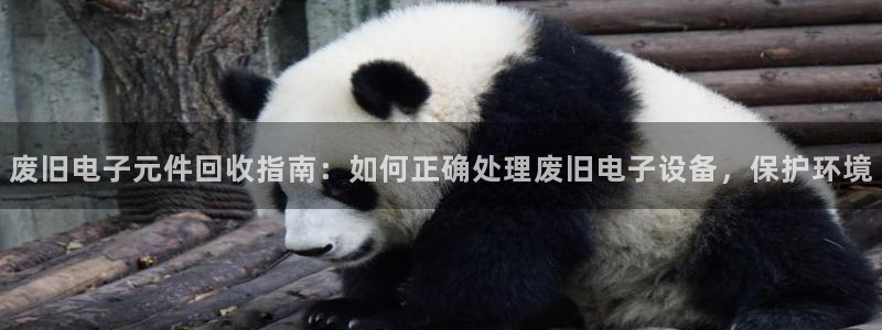 pg电子ng28：废旧电子元件回收指南：如何正确处理废旧电子设备，保护环境