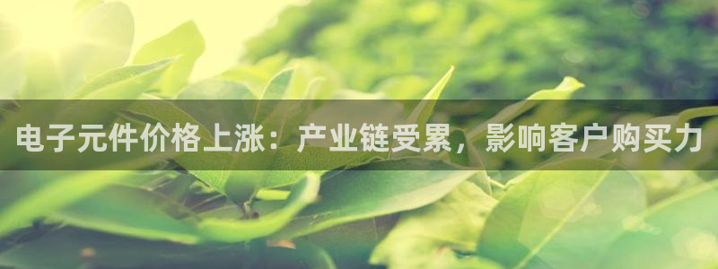pg电子游戏破解方法大全：电子元件价格上涨：产业链受累，影响客户购买力