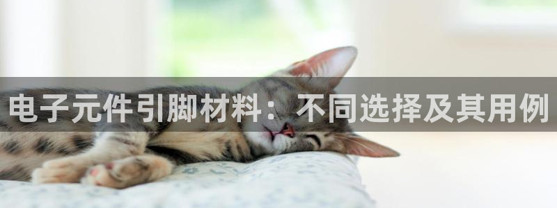 pg电子老板：电子元件引脚材料：不同选择及其用例