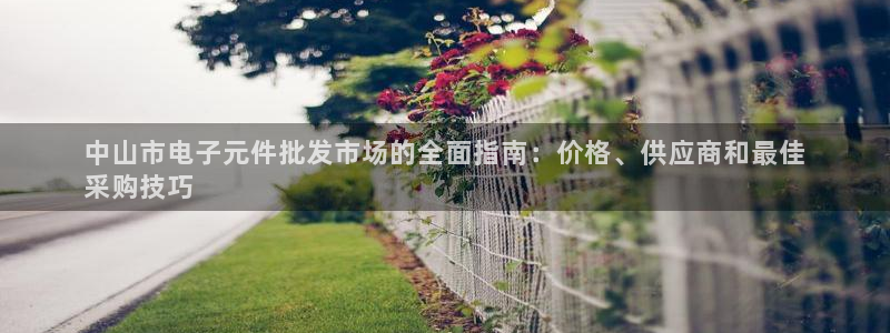 pg电子游戏体验版：中山市电子元件批发市场的全面指南：价格、供应商和最佳
采购技
