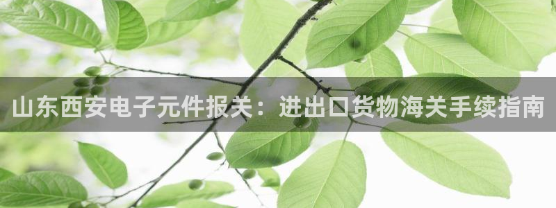 pg电子网：山东西安电子元件报关：进出口货物海关手续指南