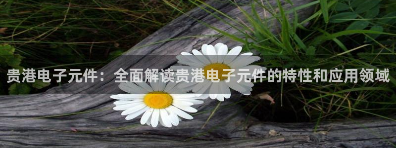 pg电子游戏做：贵港电子元件：全面解读贵港电子元件的特性和应用领域
