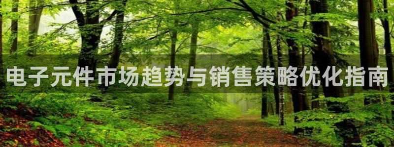 pgp官网：电子元件市场趋势与销售策略优化指南