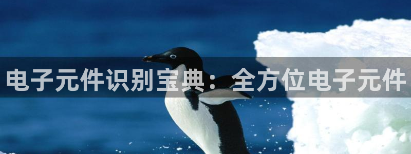 pg电子棋牌有哪些平台可以玩的：电子元件识别宝典：全方位电子元件