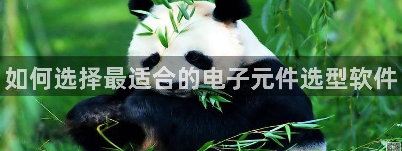 pg电子官方网站试玩网：如何选择最适合的电子元件选型软件