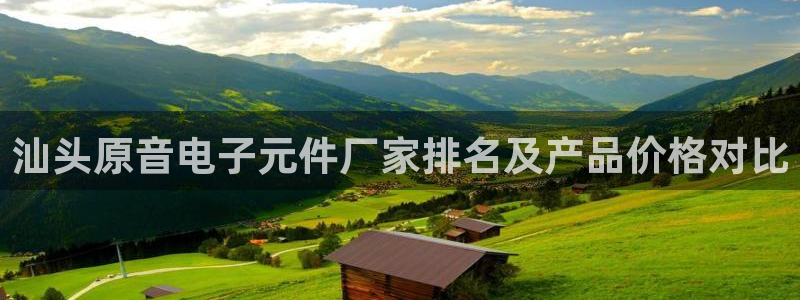 pg电子游戏官网试玩：汕头原音电子元件厂家排名及产品价格对比